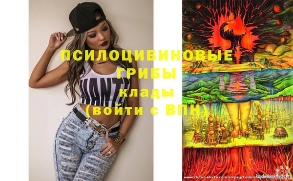 метамфетамин Верея