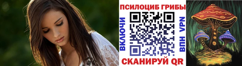 OMG рабочий сайт darknet Telegram Псилоцибиновые грибы Magic Shrooms Череповец